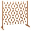 Garden Trellis Fence Orange 70.9"x39.4" Solid Firwood