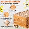 VEVOR Beehive Box Kit Bee Honey Hive 40 Frames 2 Deep 2 Medium Natural Fir Wood